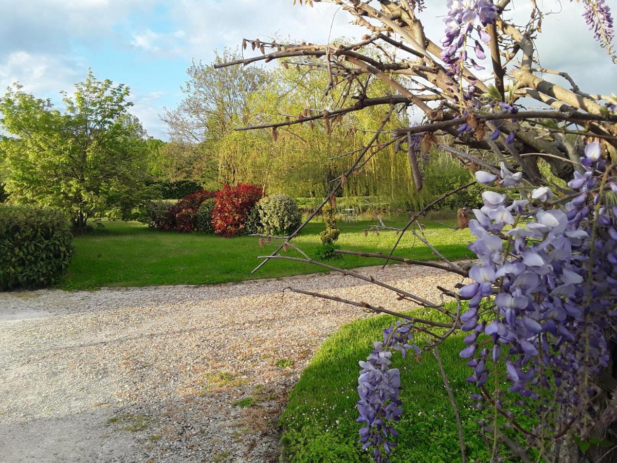 La Belviniere Chambres Et Table D'Hotes Tour-en-Sologne Экстерьер фото